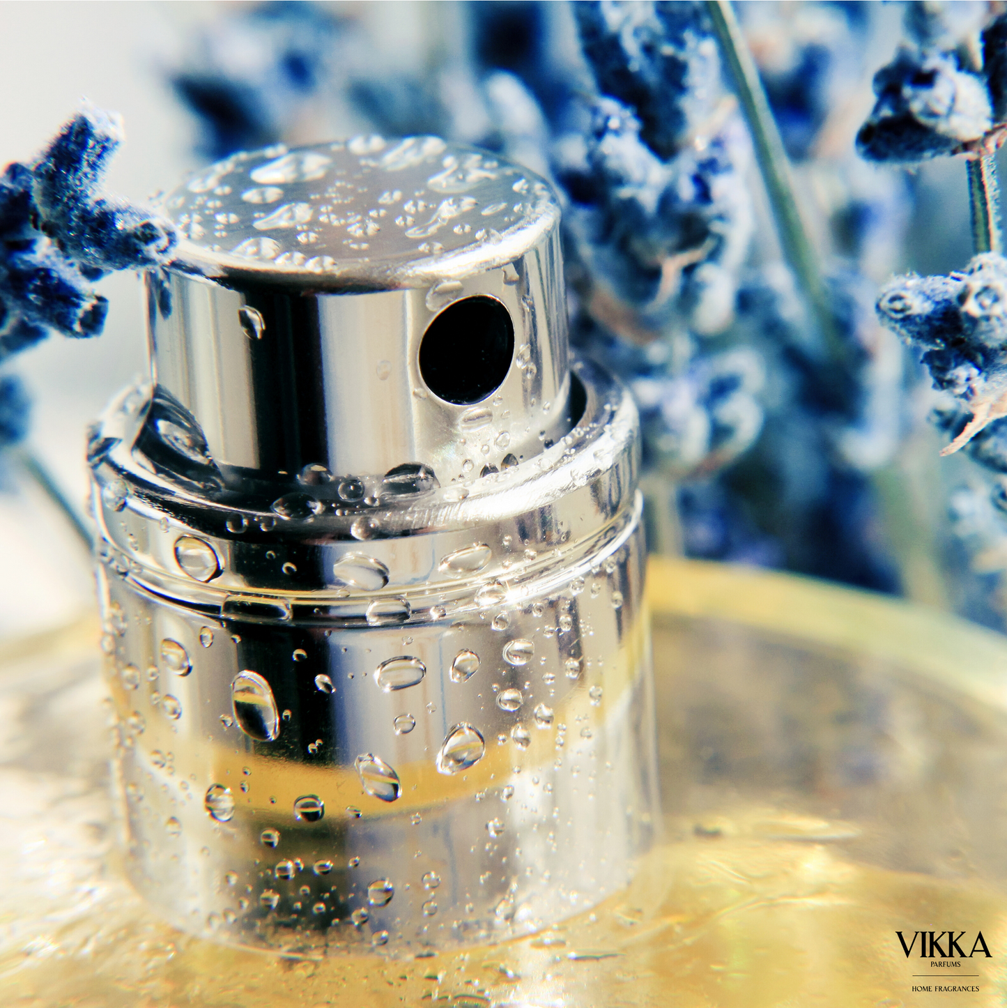 V-1033 VIKKA BOIS D’ARGENT, CHRISTIAN DIOR